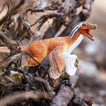 Safari Ltd. Feathered Velociraptor Dinosaur Toy - Realistic 8.5" Plastic Raptor Figure - Dinosaur Toys for Kids 3-5, Boys and Girls