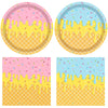 Ice Cream Birthday Party Decorations 40 Pcs Ice Cream Birthday Plates and Napkins Set,Disposable Summer Theme Tableware Kit Party Table Decorations