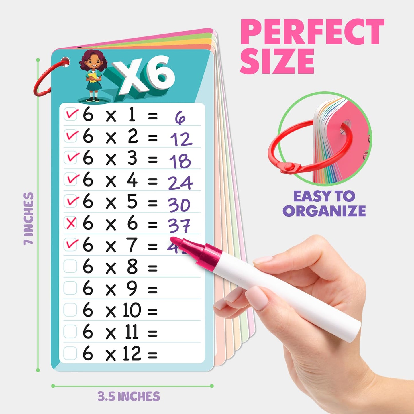SCRIBBLEDO Dry Erase Multiplication Flash Cards Math 0-12 2nd 3rd 4th Grade Math Flash Cards Reusable Wipe Clean Double-Sided Multiplication