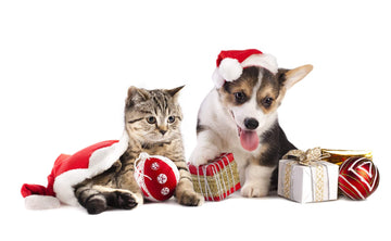 Pet Acoustics SD Card Expansion - Jingle Tunes