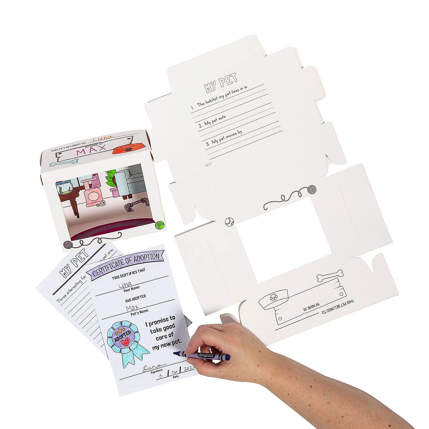 Color Your Own Desk Pet Home Habitat with Adoption Certificates - 12 Pieces