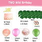 Two Wild Birthday Decoration Set Jungle Balloons for Girls 2nd Birthday