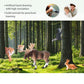 Volnau Safari Animal Figurines Toys 9PCS Eurasia Figures for Toddlers Kids Christmas Decoration Gift Preschool Educational Tiger Panda Jungle Forest