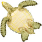 Safari Ltd. Green Sea Turtle Figurine - Detailed 3.58" Plastic Model Figure - Fun Educational Play Toy for Boys, Girls & Kids Ages 3+