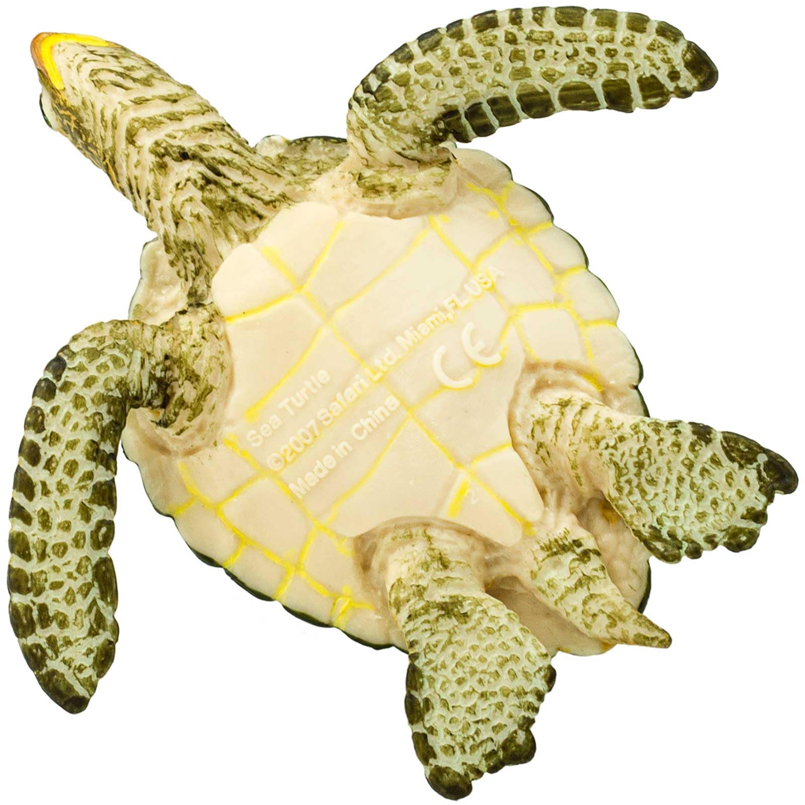 Safari Ltd. Green Sea Turtle Figurine - Detailed 3.58" Plastic Model Figure - Fun Educational Play Toy for Boys, Girls & Kids Ages 3+