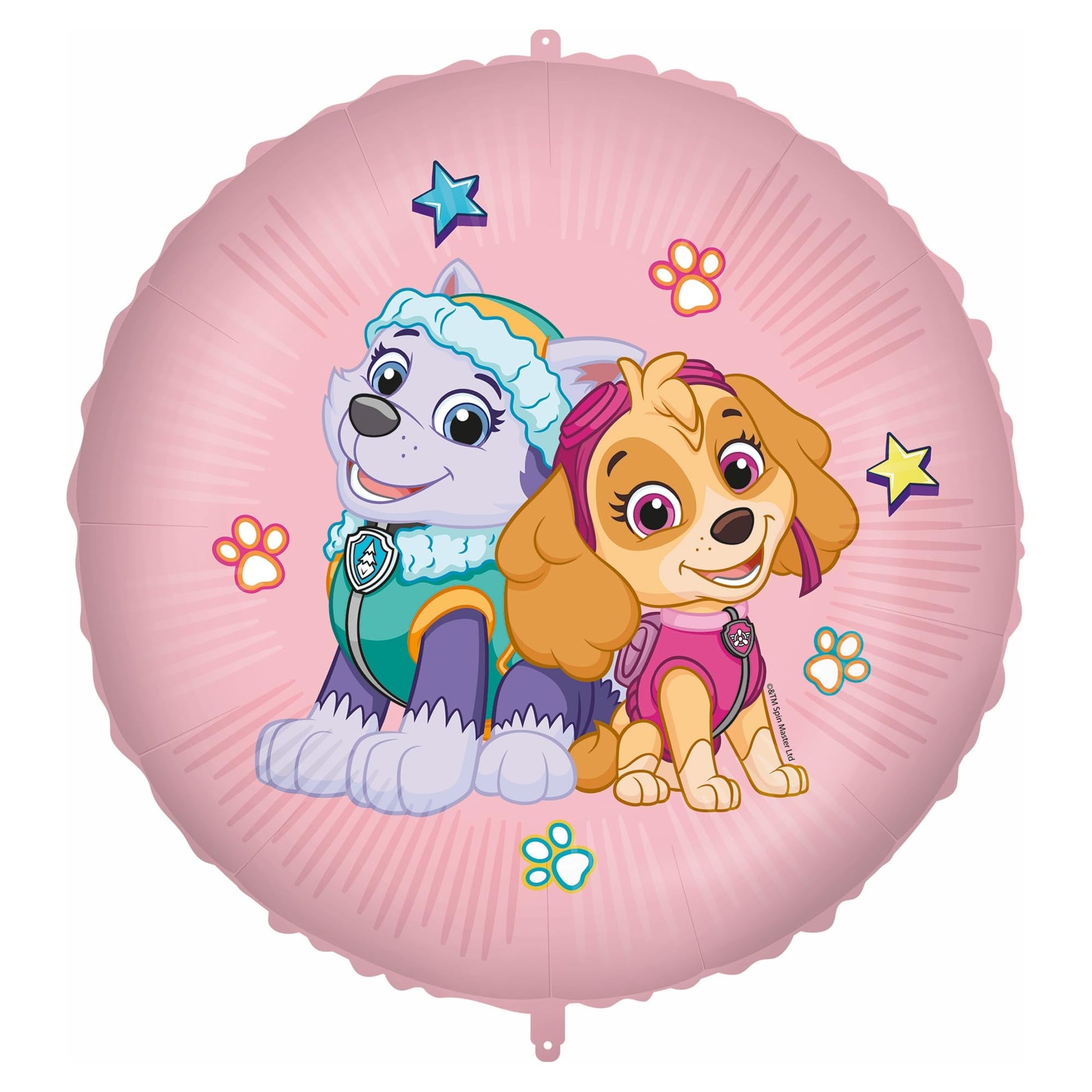 Paw Patrol Skye Everest Girl Birthday Party Supplies Balloons Decorations