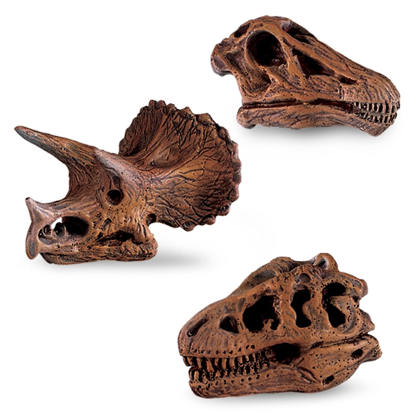 Safari Ltd Dinosaur Skulls TOOB - 11 Mini Figurines Including Velociraptor, Brachiosaurus, Oviraptor, Triceratops, Tyrannosaurus Rex and More