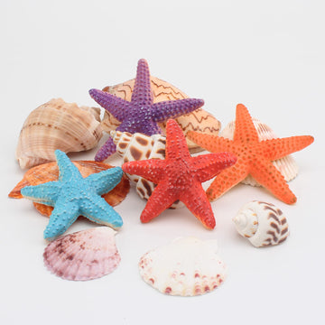 WONWONTOYS Starfish for Crafts 4PCS 3 Inch Starfish Decor Ornaments for Wedding Party Christmas Home Crafts Seashells for Kids Toddler Sea Shells Sea