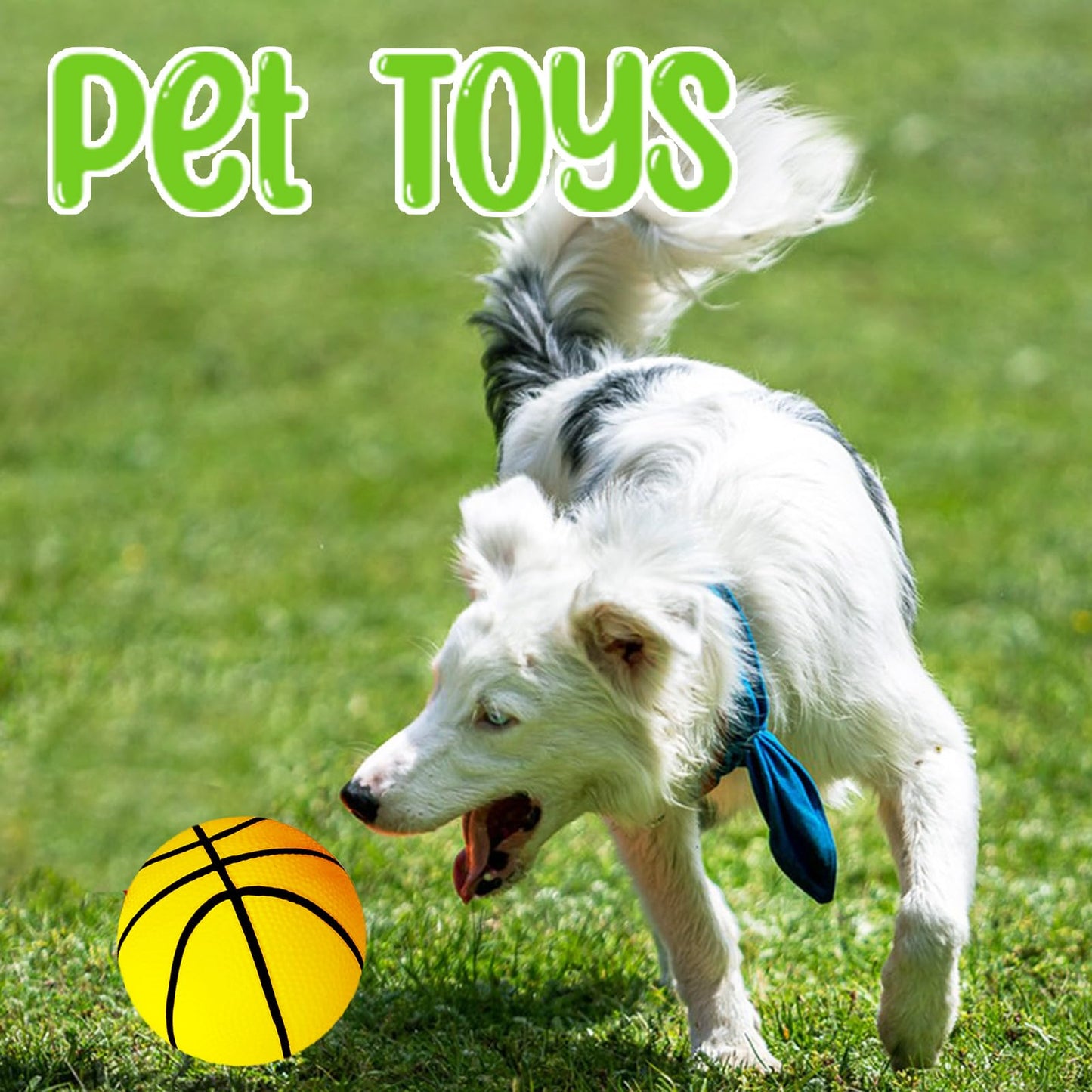 6Pcs 5Inch Mini Toy Basketballs,Colorful Rubber Inflatable Basketball with Pump for Toddlers Kids Pool,Basketball Hoop,Beach Sports Game,Party Favor