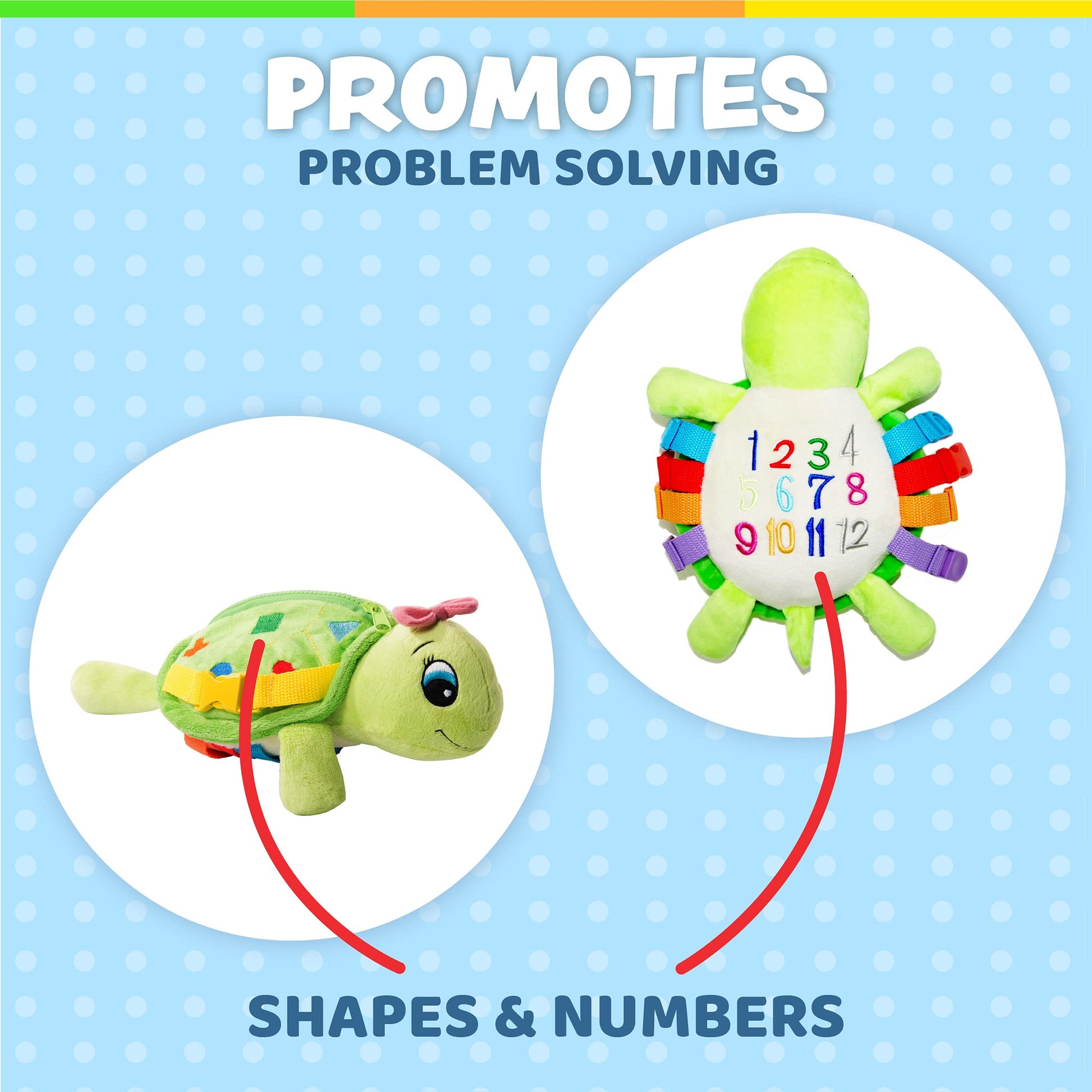 Buckle Toys - Belle Turtle - Learning Activity - Develop Motor Skills and Problem Solving - Counting and Color Recognition - Airplane Travel