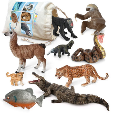 Volnau Jungle Animal Figurines Toys 9PCS South America Figures for Toddlers Kids Christmas Decoration Gift Preschool Educational Zoo Pack Rainforest