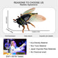 JOKFEICE Realistic Cicada Figurine, Insect Toy for Science & Cake Toppers