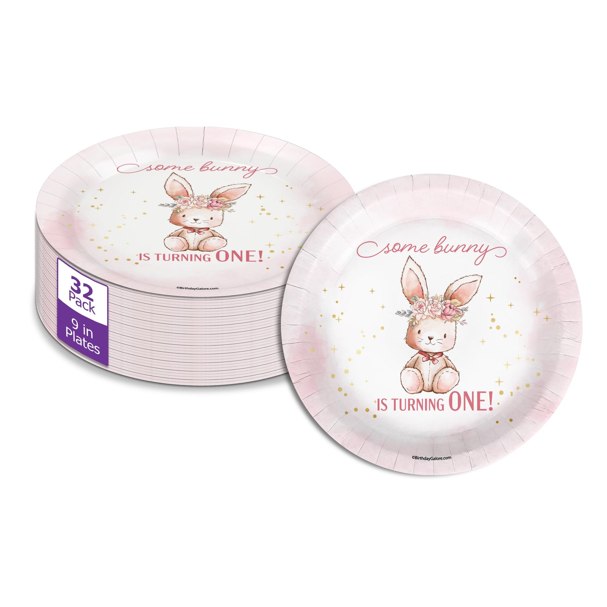 Some Bunny is Turning One First Birthday - 32 Piece Disposable Party Supplies - Decorations for Rabbit 1st Birthday Round Party Plates - Large 9"