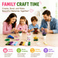 800 PCS Pipe Cleaners Bulk Flowers Kit, Pipe Cleaners Craft with Handle, 13 Colors Chenille Stems with Full Set of Tools, DIY Art Craft