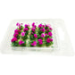 20Pcs Miniature Flower Cluster Grass Flower Tufts for Mini Dollhouse Fairy Garden Railway Simulated Static Scenery Micro Landscape Model (Rose)