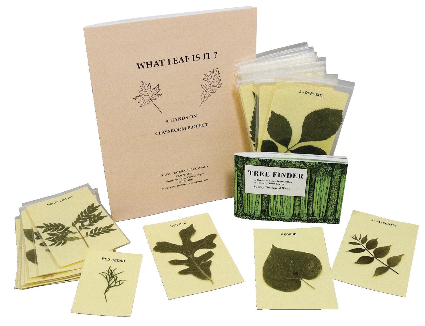 Young Naturalist Leaf Identification Kit
