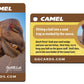 Gorilla Golf Cards (4 Pack) : The On-Course Golf Betting Game