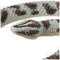 Wild Republic Rubber Snakes Rock Python - 26"