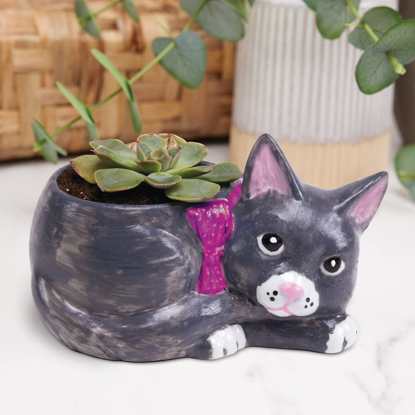 MindWare Paint Your Own Cat Dish - Porcelain Painting Figures for Kids, Teens & Adults Ages 8 & Up - Includes 12 Paints and 2 Brushes