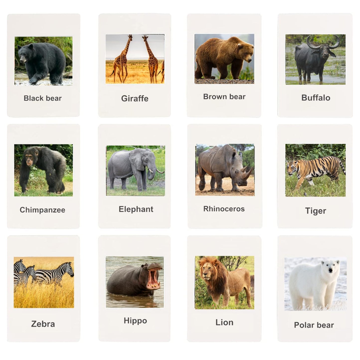 RUSON 12 Safari Animals Figures Toys with 12 Flash Cards, Realistic Mini Jungle Animal Figurines Cake Topper Party Supplies Montessori Animal Matching