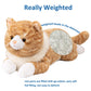 Litence Cat Weighted Stuffed Animals, 3.9 lbs Weighted Cat Plush Toy Realistic Cat Weighted Plush Animals Pillow Cute Kitten Plushies Toy Gifts