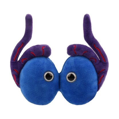 GIANT MICROBES Testicle Plushie Toy, Testicles Gift, Testicular Cancer Awareness, Vasectomy Gifts, Urology Gifts, Urology Nursing, Testicle Pillows