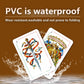 KKJBU 1 Decks Spanish Playing Cards Plastic Baraja Española | PVC Waterproof Mexican & Puerto Rican Briscas Cards | Professional Cartas Españolas