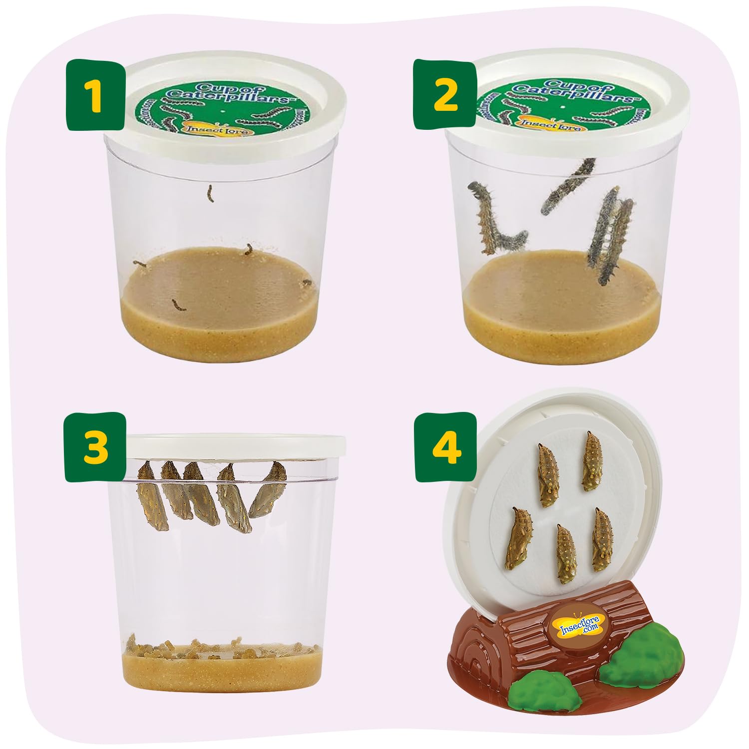 Insect Lore Raise and Release Butterfly Garden Kit - Caterpillar Habitat with redeemable Voucher - STEM-accredited Butterfly Growing Kit for Kids