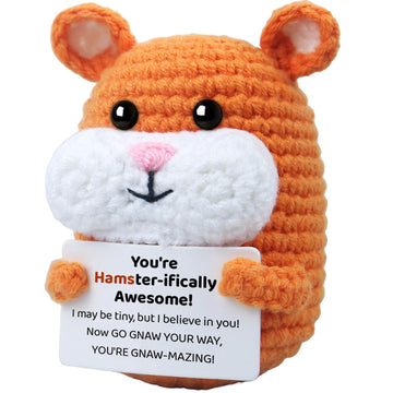 Roqei Cute Handmade Crochet Hamster Gifts - Emotional Hamster with Encouraging Message, Perfect Birthday Graduation Gift for Coworkers, Friends, Teens