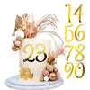 Acrylic Cake Numbers Topper, 0-9 Numbers Happy Birthday Cake Topper Gold Acrylic Wedding Party Cupcake Toppers for Birthday Party Wedding Anniversary