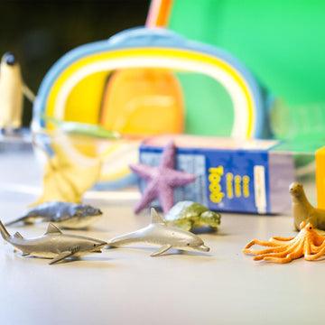 Safari Ltd. Ocean TOOB - 12 Mini Figurines: Sea Lion, Eagle Ray, Starfish, Turtle, Penguin, Octopus, Whales, Moray Eel, Sharks, and Dolphin