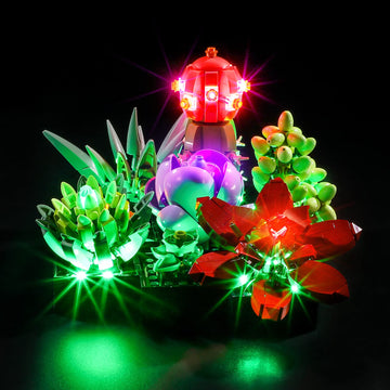 YEABRICKS LED Light for Lego-10309 Creator Succulents Building Blocks Model (Lego Set NOT Included)