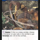 VS System® 2PCG™: House of X