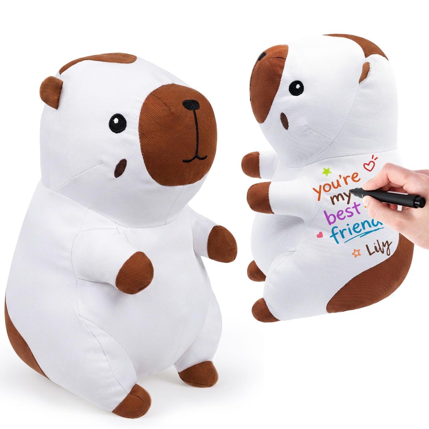 ZJoey Blank Capybara DIY Toys Make Your Own Stuffed Holiday Plush Gifts Stuffed Teddy Animal for Graduation Birthday Friends Gift(Capybara)