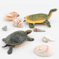 GUFOPONAS Large Turtle Toys for Kids 2PCS Realistic Plastic Red-Eared Slider Tortoises Figurine Brazilian Tortoise Figurines Plastic Turtles Toys