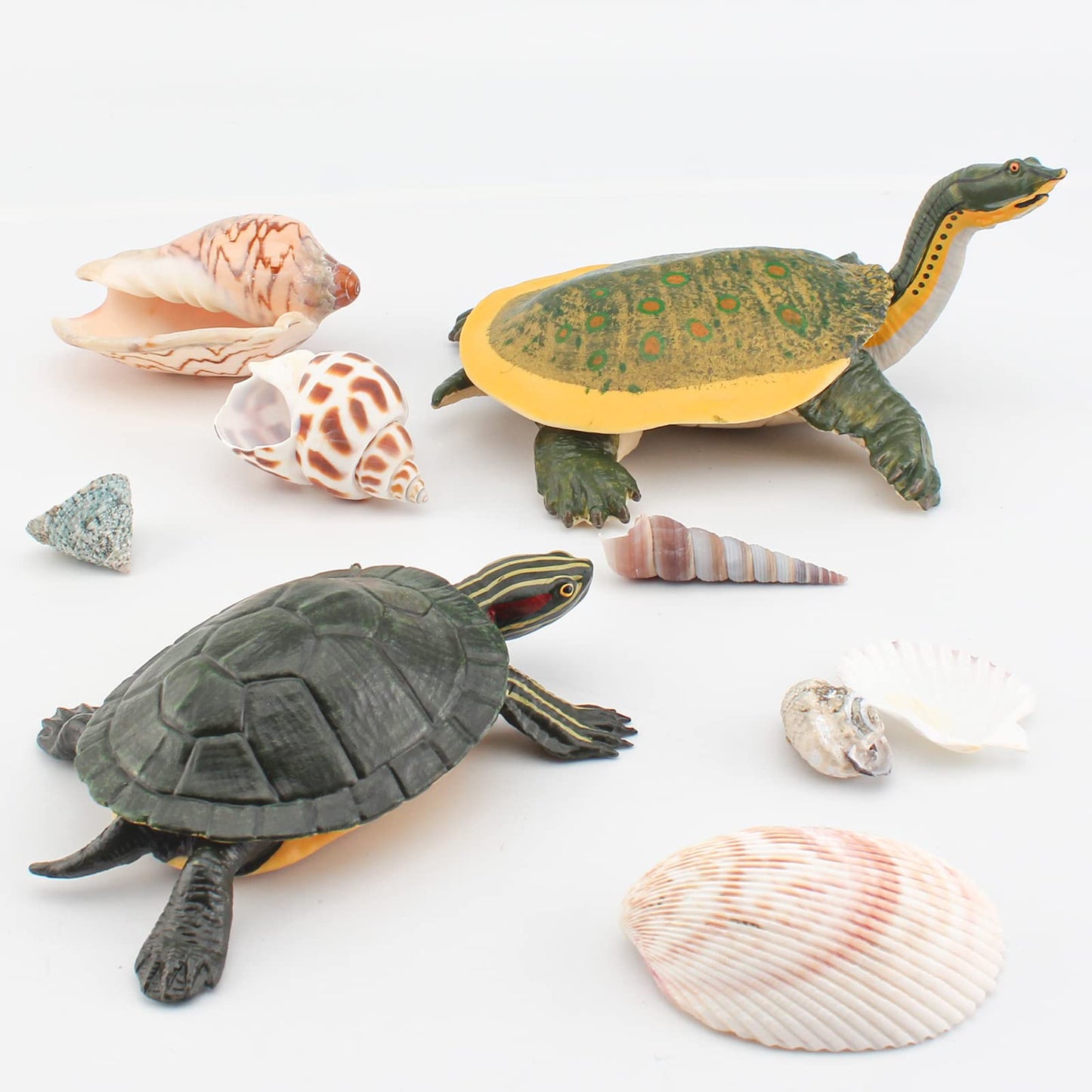 GUFOPONAS Large Turtle Toys for Kids 2PCS Realistic Plastic Red-Eared Slider Tortoises Figurine Brazilian Tortoise Figurines Plastic Turtles Toys