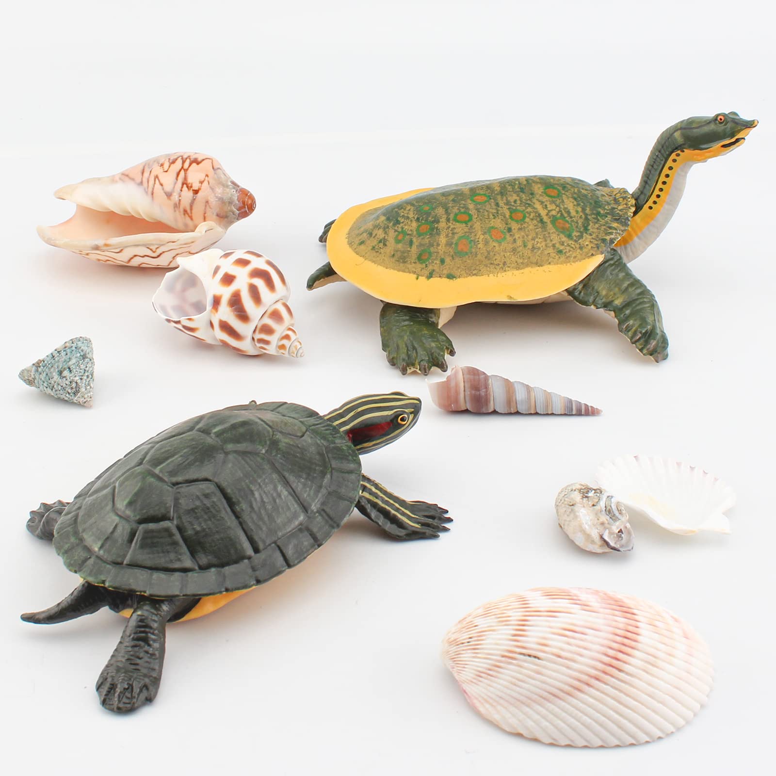 GUFOPONAS Large Turtle Toys for Kids 2PCS Realistic Plastic Red-Eared Slider Tortoises Figurine Brazilian Tortoise Figurines Plastic Turtles Toys