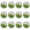 Fun Express Walking with Jesus Inflate Beach Balls - Toys - Inflates - Beach Balls - VBS 2026 Vacation Bible School Supplies/Decor - 12 Pieces