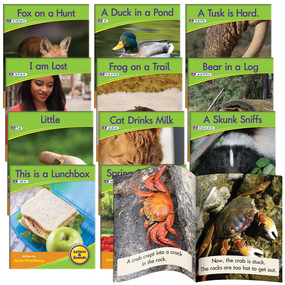 Junior Learning Blend Readers Non-Fiction Toy