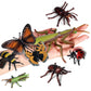 Odowalker 8 Pcs Lifelike Assorted Plastic Insects Bugs Figures Model