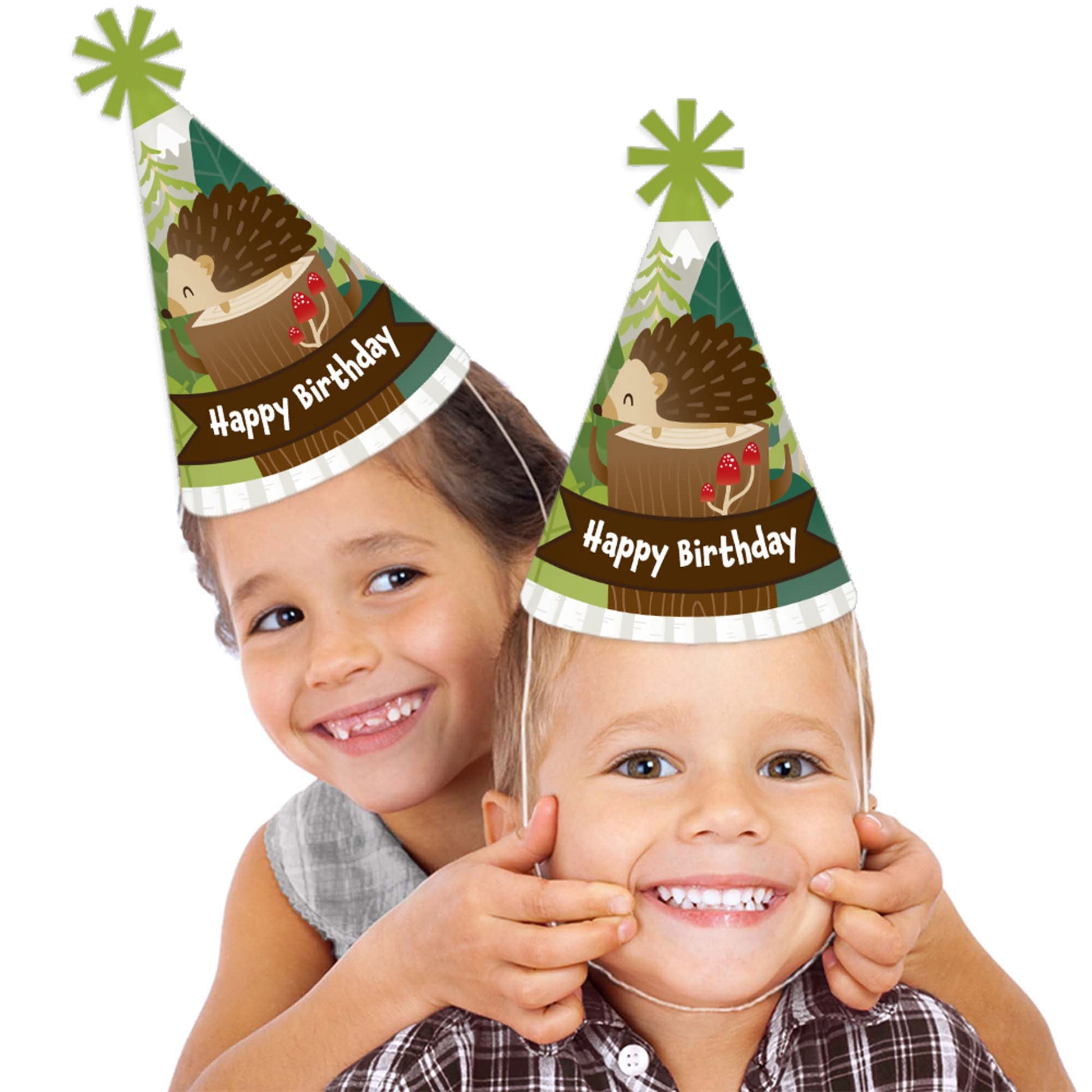 Big Dot of Happiness Forest Hedgehogs - Cone Happy Birthday Party Hats for Kids and Adults - Set of 8 (Standard Size)