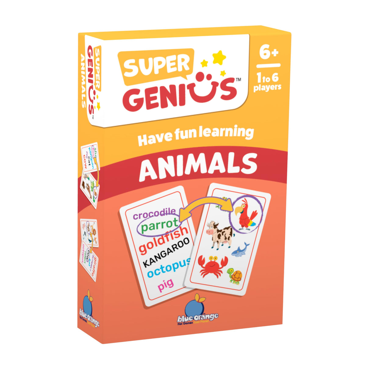 Blue Orange Super Genius Animals - Tabletop Card Game, Fun Flash Card Concentration Matching Game for Kids, Ages 6+, 1-6 Players, Teacher Approved
