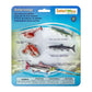 Safari Ltd. Life Cycle of a Salmon Set - 5 Hand-Painted, Lifelike Model Figures - Fun Educational Toy for Boys, Girls & Kids Ages 4+