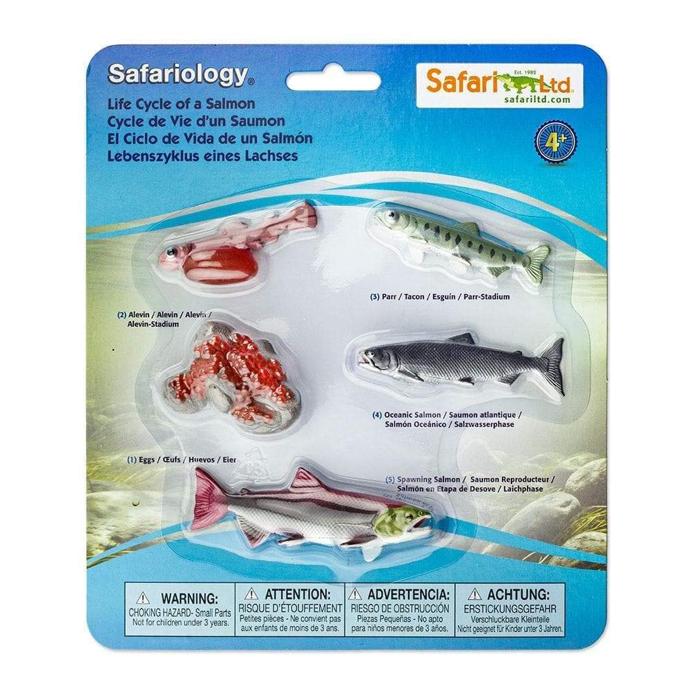 Safari Ltd. Life Cycle of a Salmon Set - 5 Hand-Painted, Lifelike Model Figures - Fun Educational Toy for Boys, Girls & Kids Ages 4+