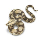 Safari Ltd. Boa Constrictor Figurine - Realistic 6" Snake Figure - Educational Toy for Boys, Girls, and Kids Ages 3+