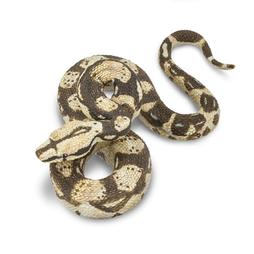 Safari Ltd. Boa Constrictor Figurine - Realistic 6" Snake Figure - Educational Toy for Boys, Girls, and Kids Ages 3+