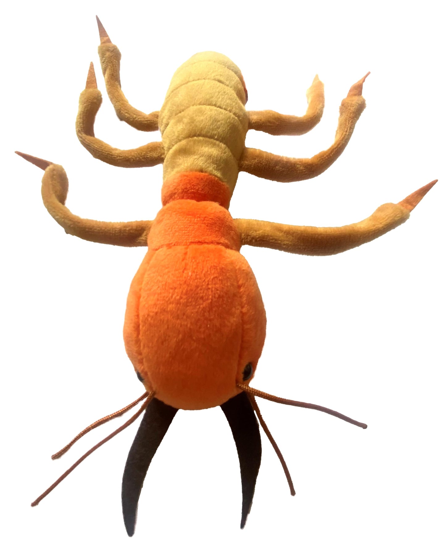 GIANT MICROBES Termite Plush - Learn About This Common Crawler with This Cuddly Plush, Unique Gift for Friends, Family, Educators, Students,