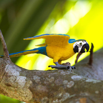 Safari Ltd. Blue and Gold Macaw Figurine - Detailed 4.5" Plastic Bird Figure - Educational Toy for Boys, Girls, and Kids Ages 3+