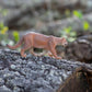 Safari Ltd. Mountain Lion Figurine - Realistic 5.5" Hand-Painted Wildlife Figure - Educational Toy for Boys, Girls & Kids Ages 3+