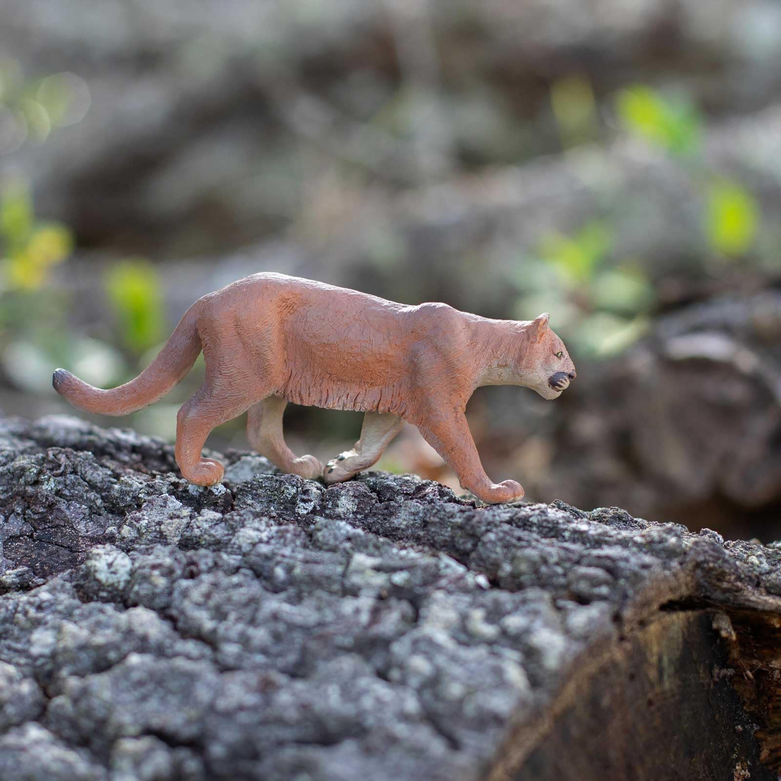 Safari Ltd. Mountain Lion Figurine - Realistic 5.5" Hand-Painted Wildlife Figure - Educational Toy for Boys, Girls & Kids Ages 3+